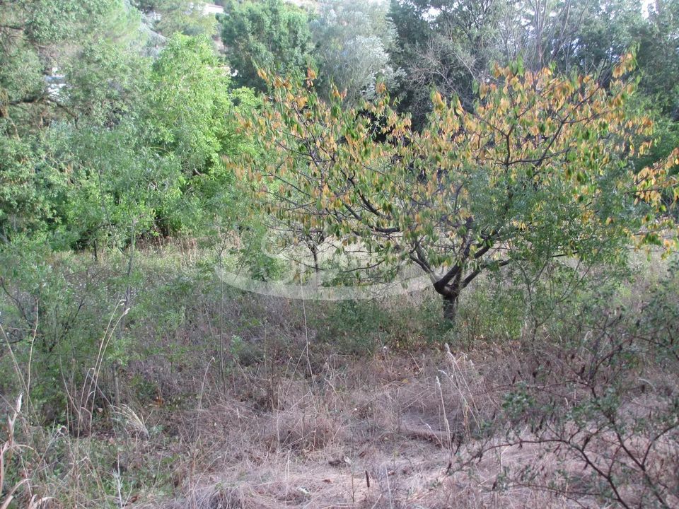 Helårsgrund i Limoux, Aude - foto 4