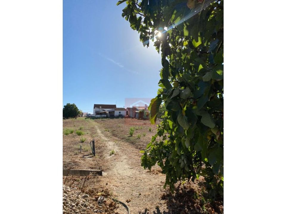 Helårsgrund i Alcochete, Setubal - foto 5