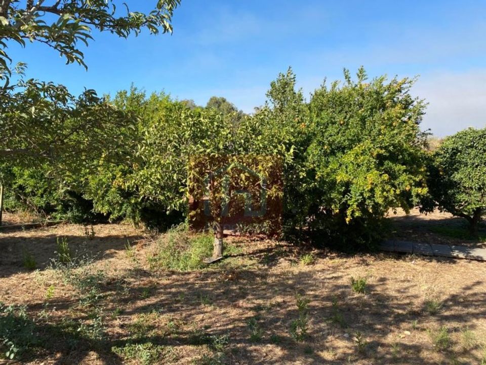Helårsgrund i Alcochete, Setubal - foto 2