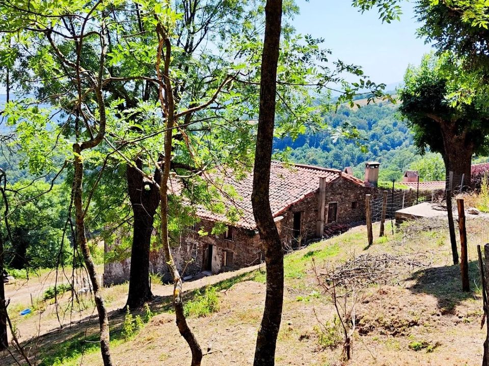 Landejendom i Ceret, Pyrenees-Orientales - foto 5