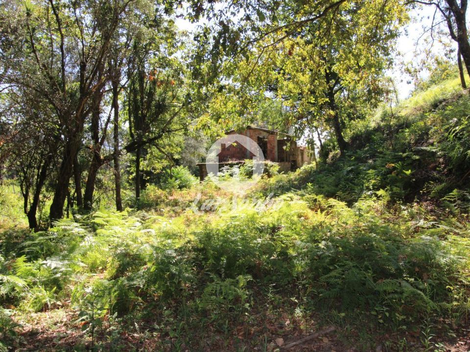 Farm i Amares, Braga - foto 1