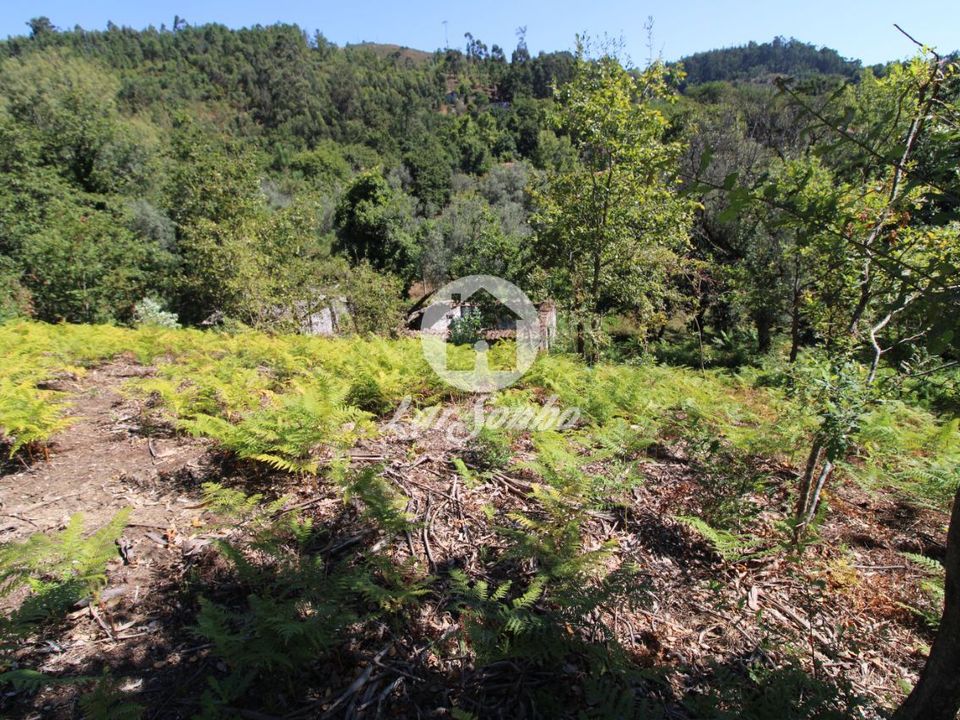 Farm i Amares, Braga - foto 3