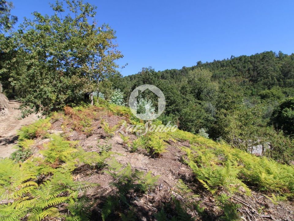 Farm i Amares, Braga - foto 4