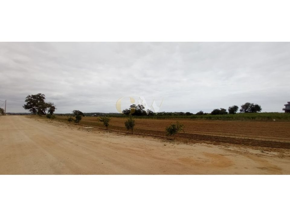 Farm i Guia, Faro - foto 1