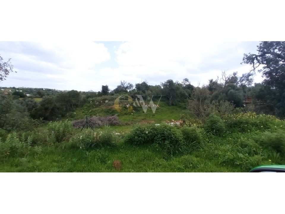 Farm i Guia, Faro - foto 2
