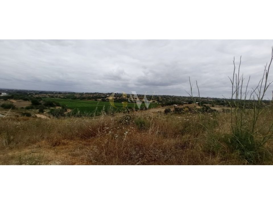 Farm i Guia, Faro - foto 3