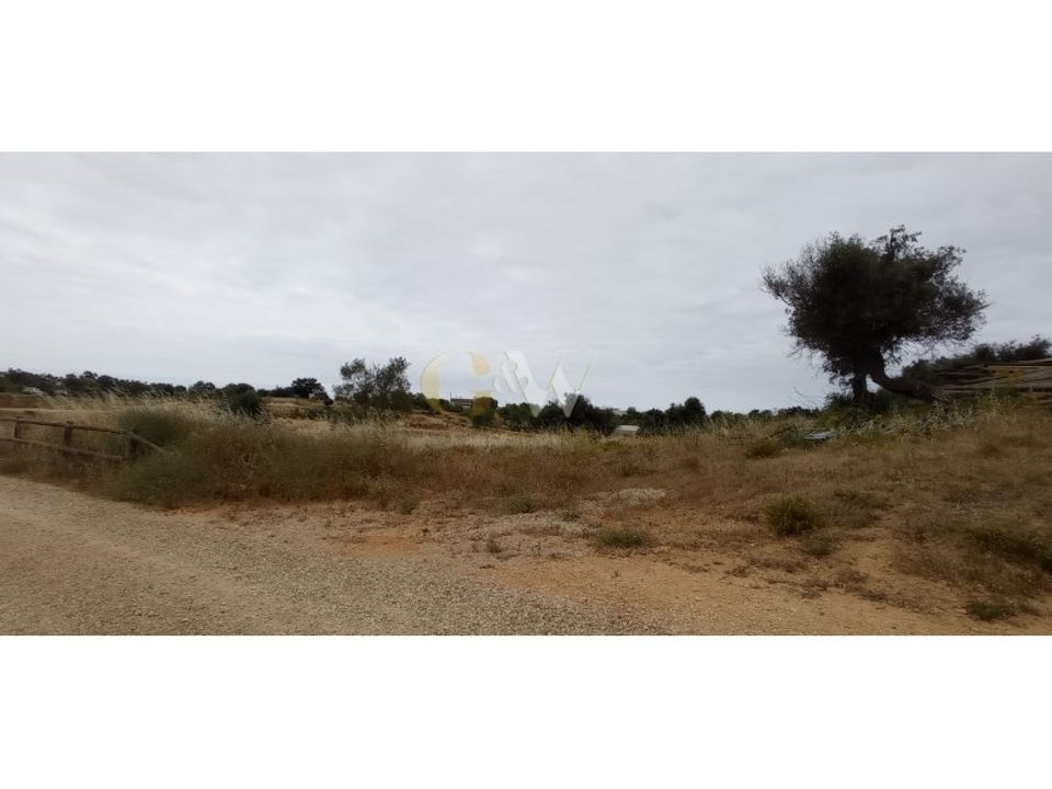 Farm i Guia, Faro - foto 5