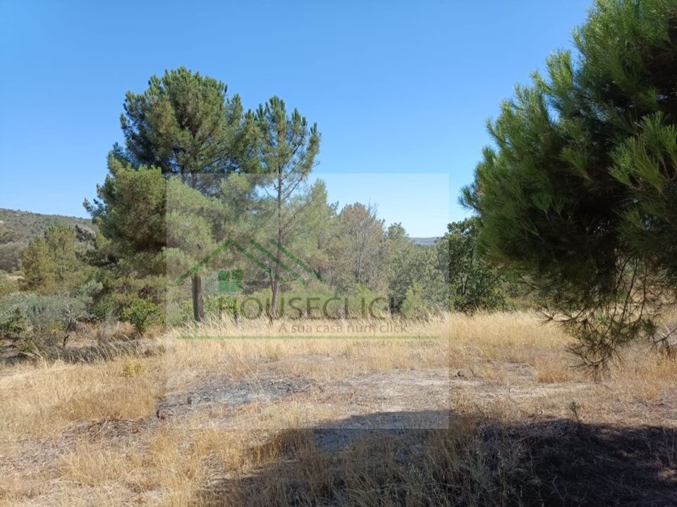 Helårsgrund i Belmonte, Castelo Branco - foto 2