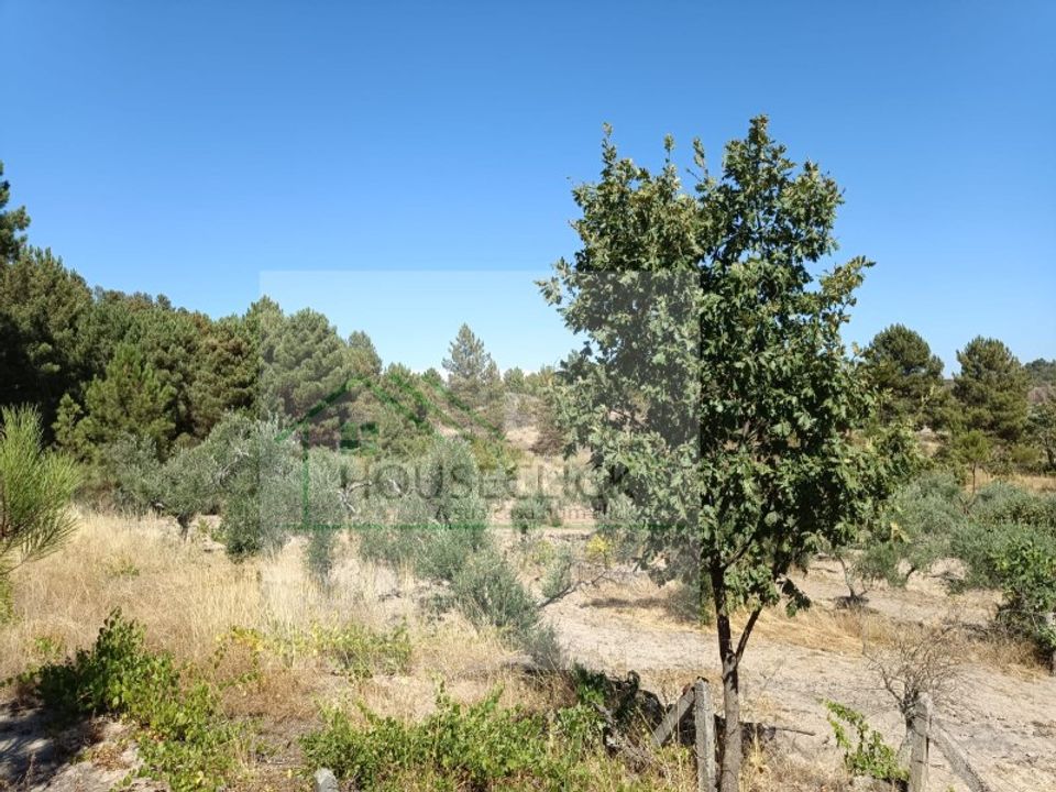 Helårsgrund i Belmonte, Castelo Branco - foto 3
