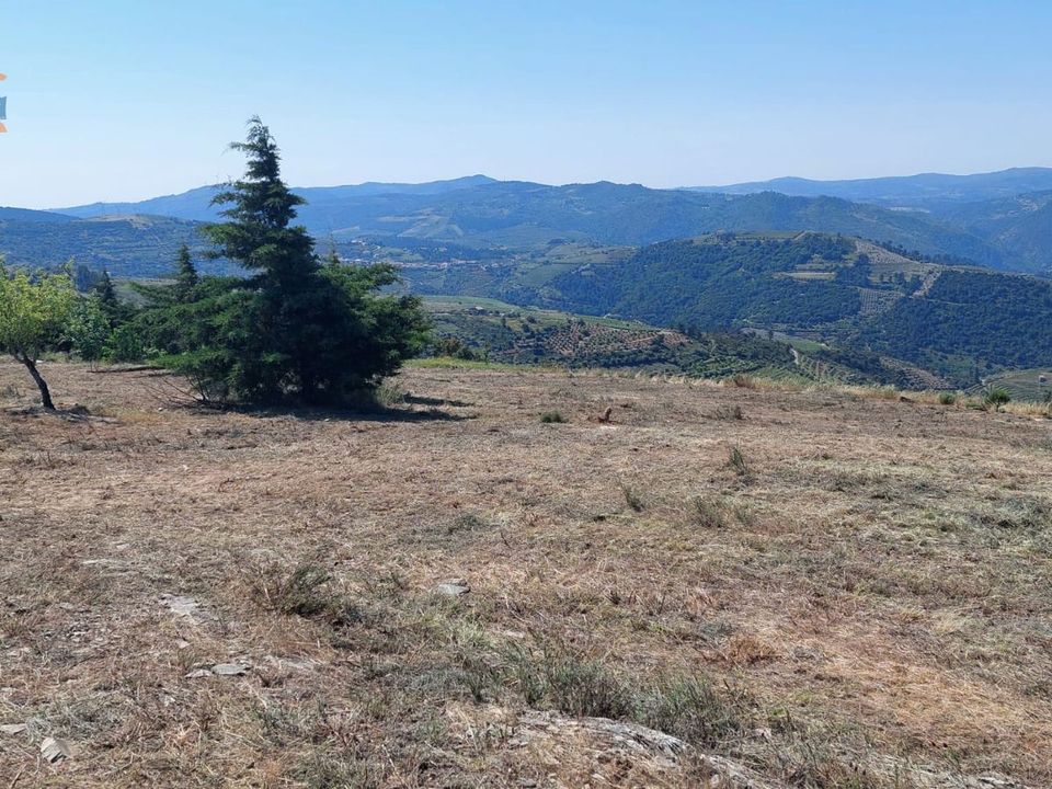 Helårsgrund i Sao Joao da Pesqueira, Viseu - foto 1