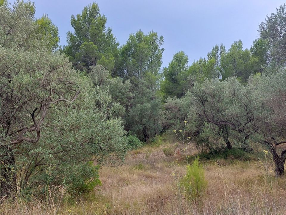 Finca i Aldover, Tarragona - bilde 4