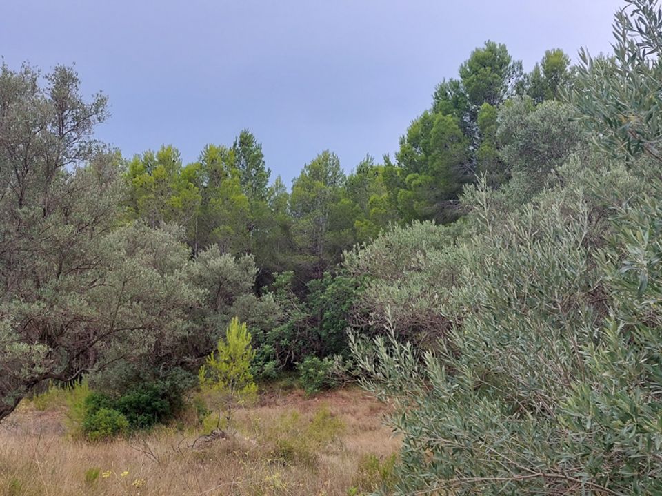 Finca i Aldover, Tarragona - bilde 3