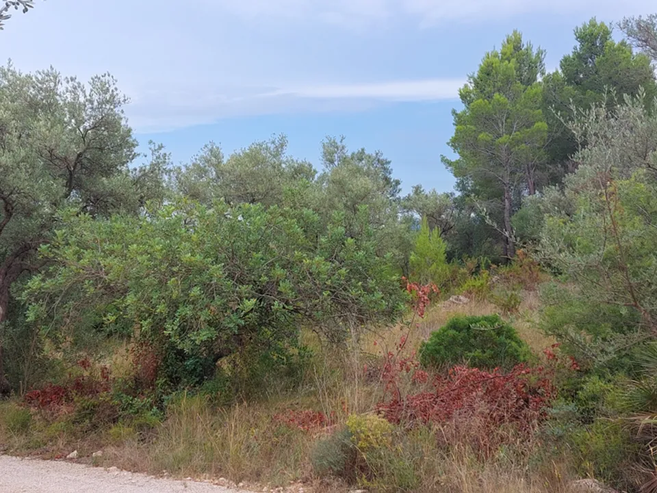 Finca i Aldover, Tarragona - bilde 1