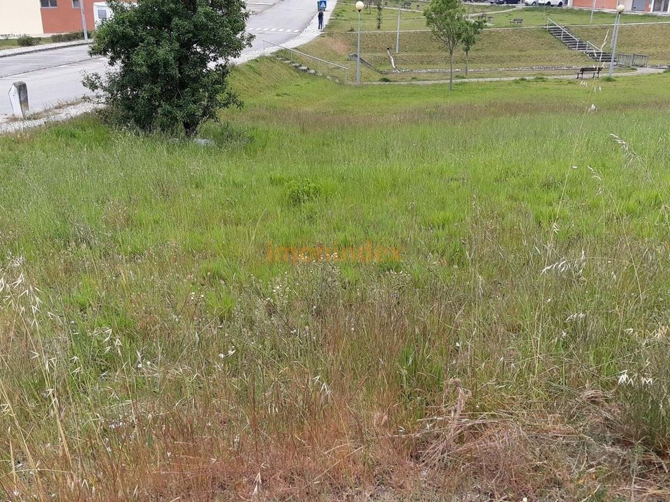 Helårsgrund i Tavarede, Coimbra - foto 3