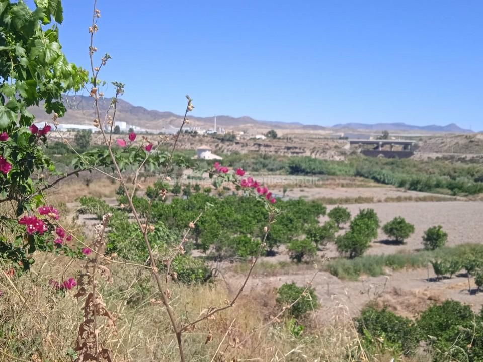 Farm hus i Albox, Almeria - foto 3