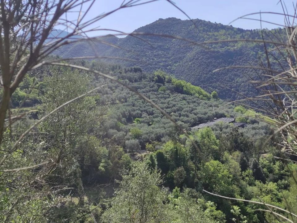 Landejendom i Apricale, Imperia - foto 2