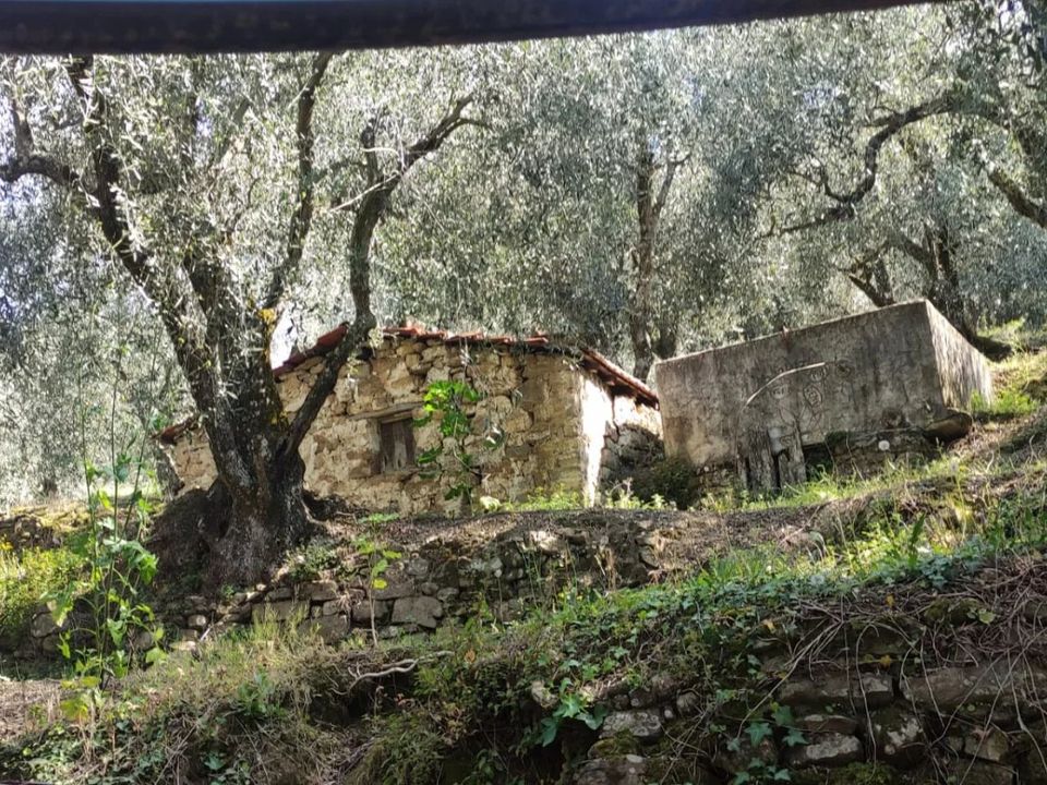 Landhaus in Apricale, Imperia - Foto 2
