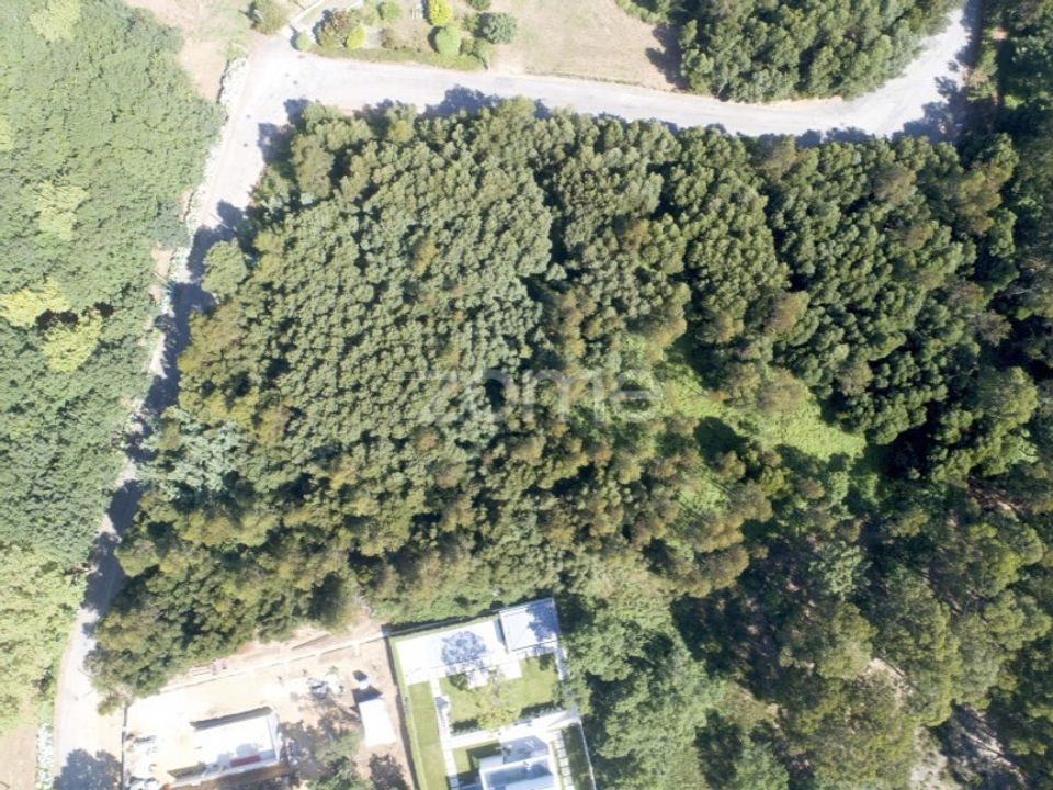 Helårsgrund i Arcozelo, Porto - foto 2