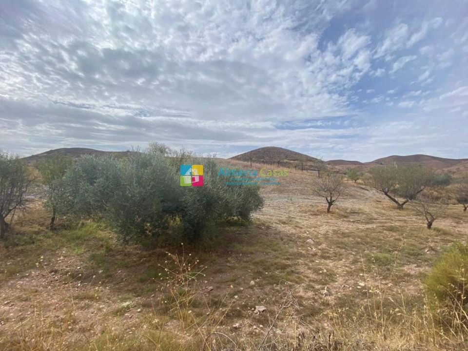 Helårsgrund i Arboleas, Almeria - foto 3