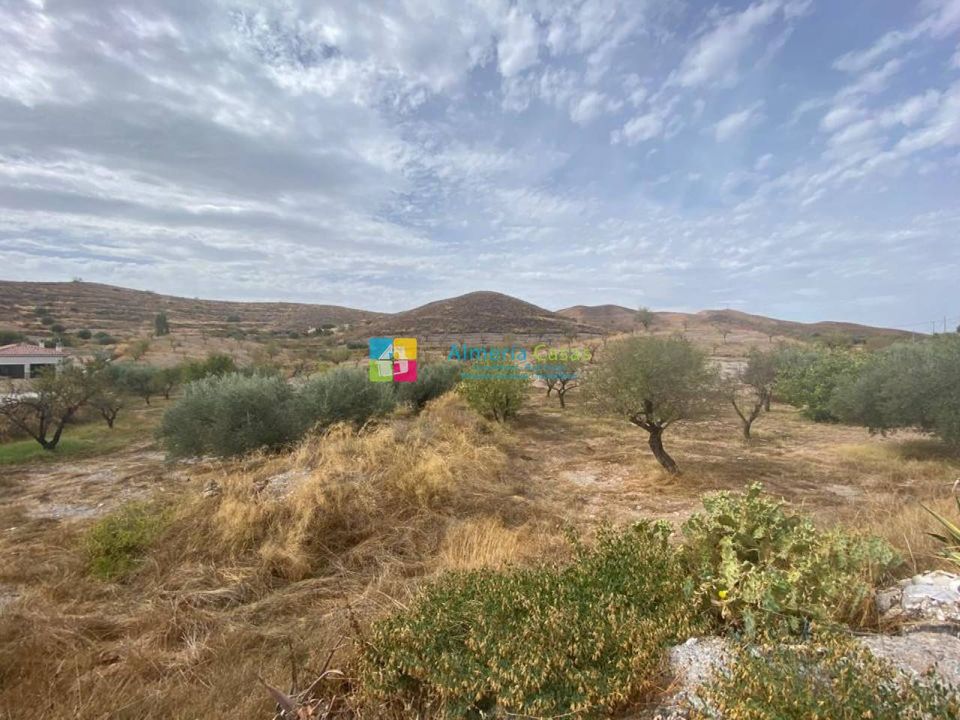 Helårsgrund i Arboleas, Almeria - foto 5