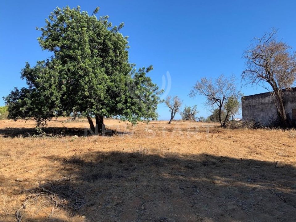 Helårsgrund i Quelfes, Faro - foto 3