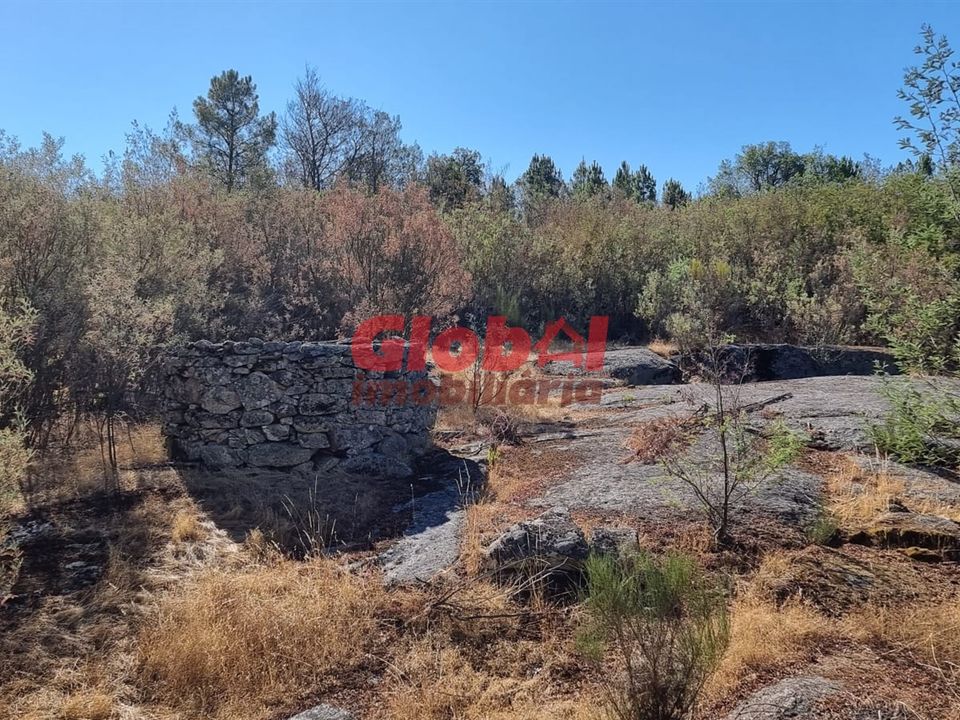 Farm i Mangualde, Viseu - foto 3