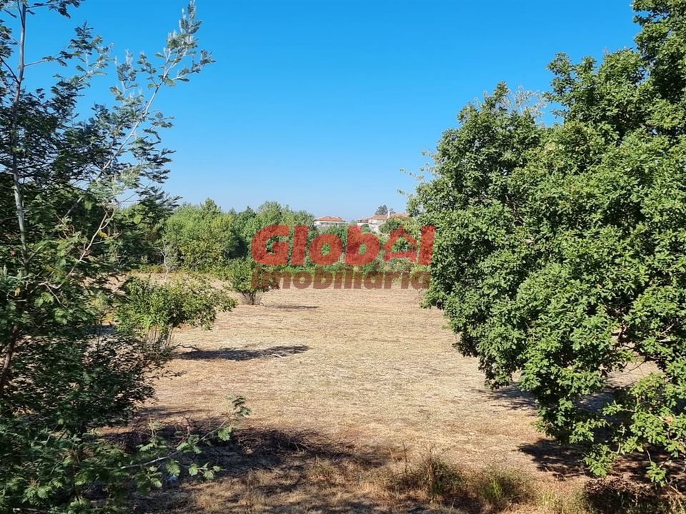 Farm i Mangualde, Viseu - foto 4
