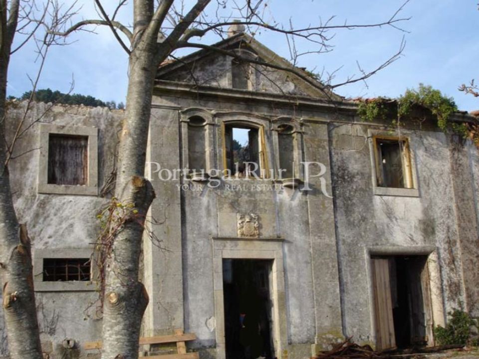 Farm i Casteloes, Viseu - foto 5