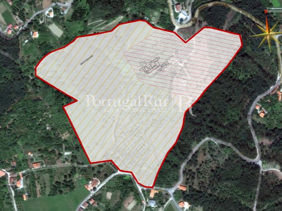 Farm i Casteloes, Viseu - foto 3