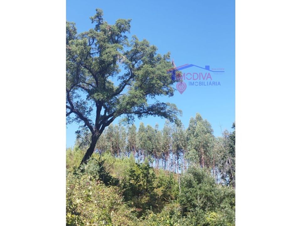 Helårsgrund i Pedrogao Grande, Leiria - foto 4