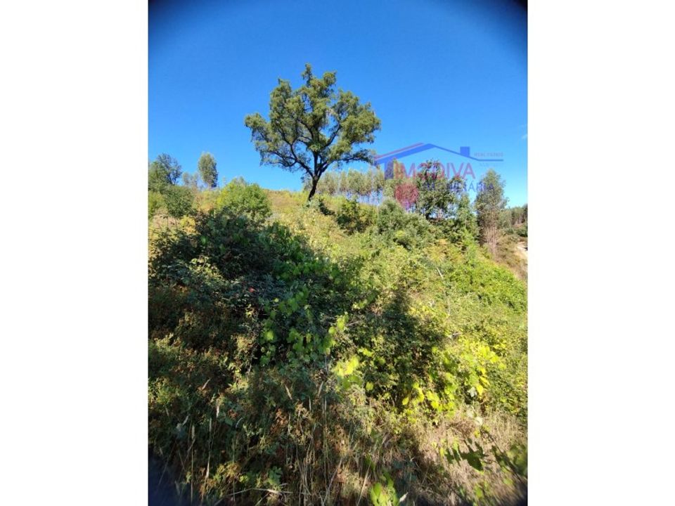 Helårsgrund i Pedrogao Grande, Leiria - foto 5