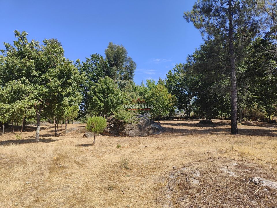 Farm i Gouveia, Guarda - foto 2