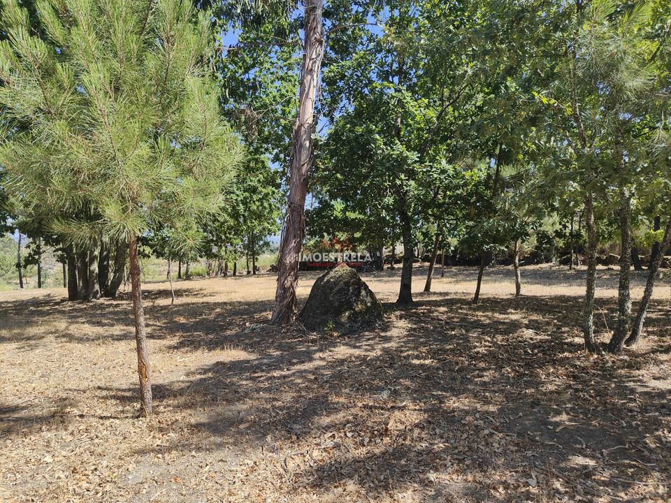 Farm i Gouveia, Guarda - foto 4