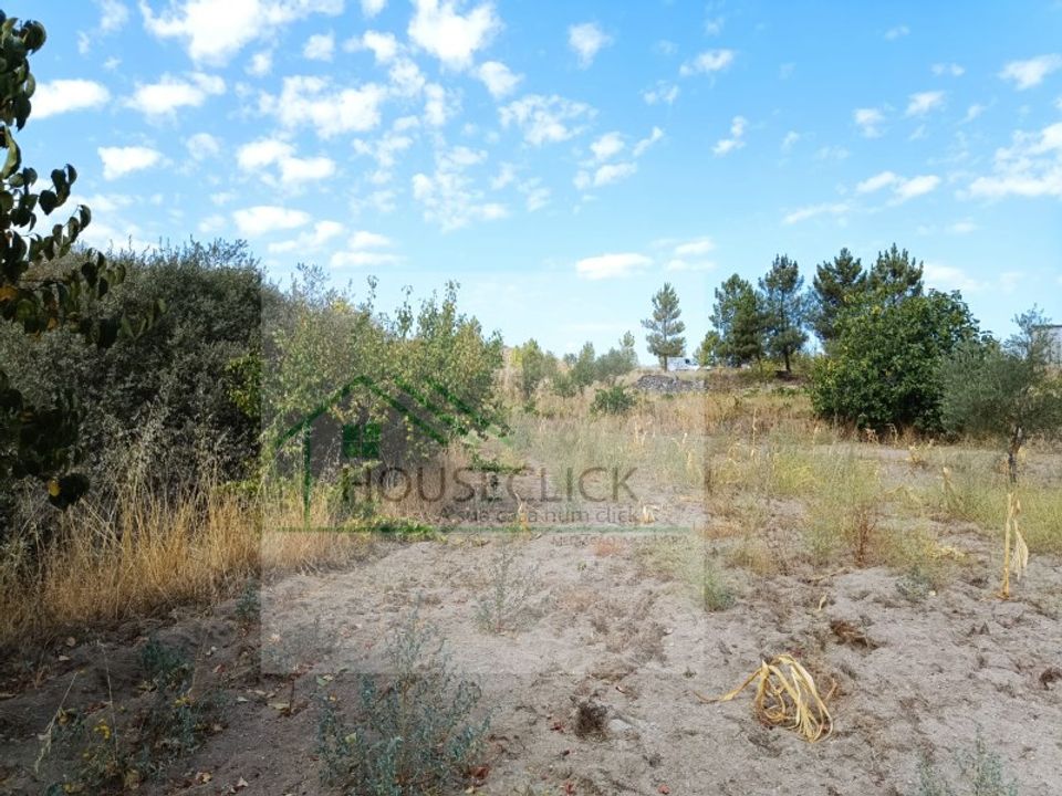 Helårsgrund i Belmonte, Castelo Branco - foto 4