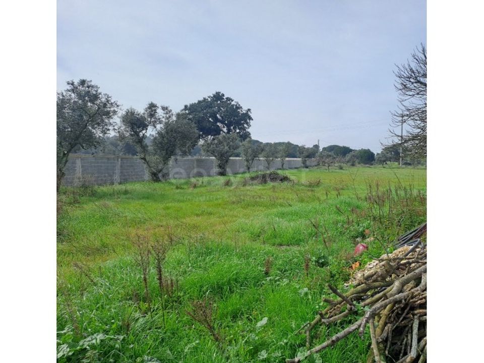 Helårsgrund i Alhos Vedros, Setubal - foto 4