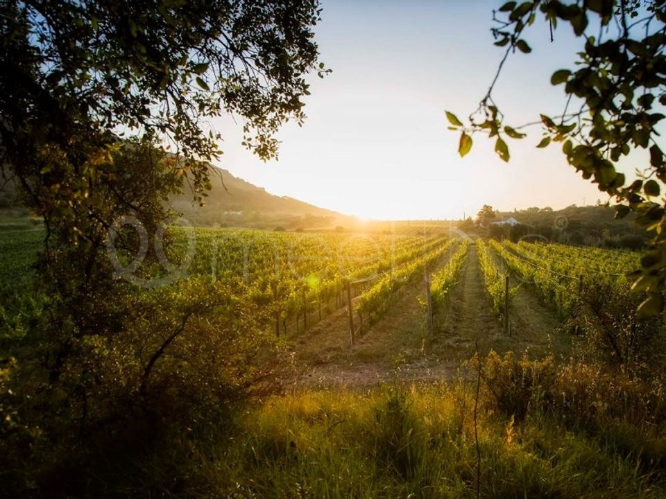 Farm i Setubal, Setubal - foto 1