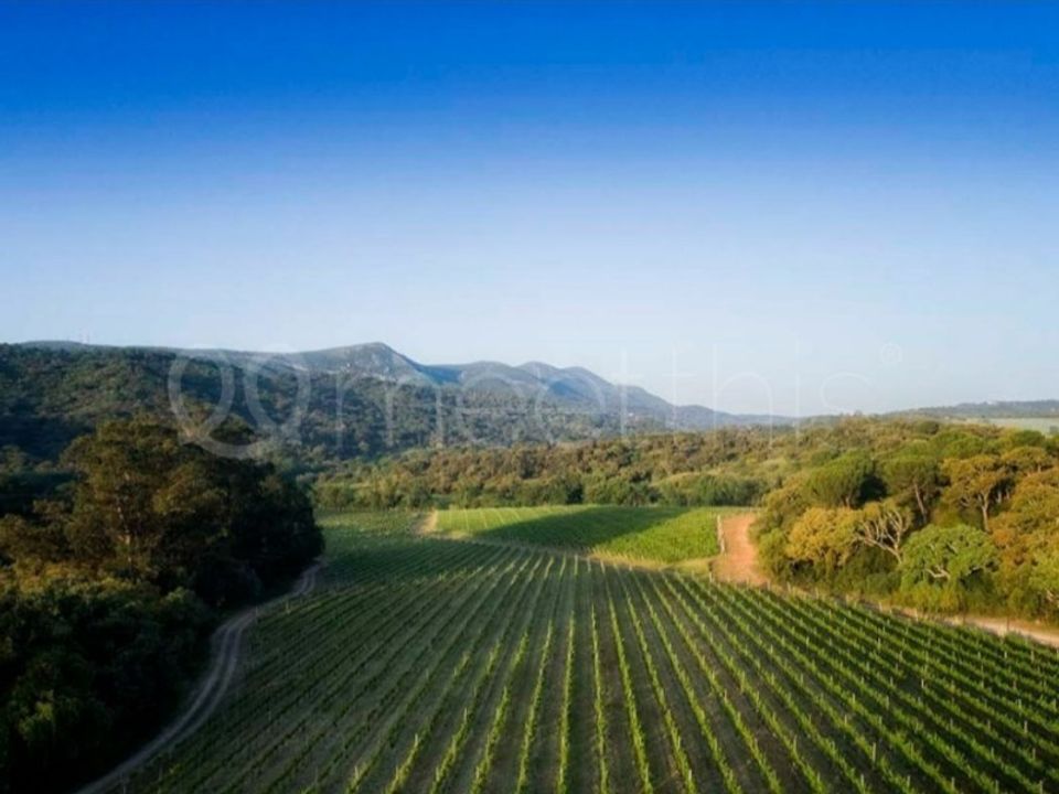 Farm i Setubal, Setubal - foto 2