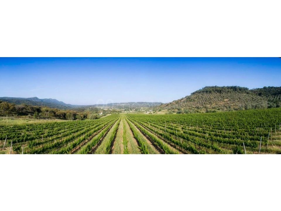 Farm i Setubal, Setubal - foto 5