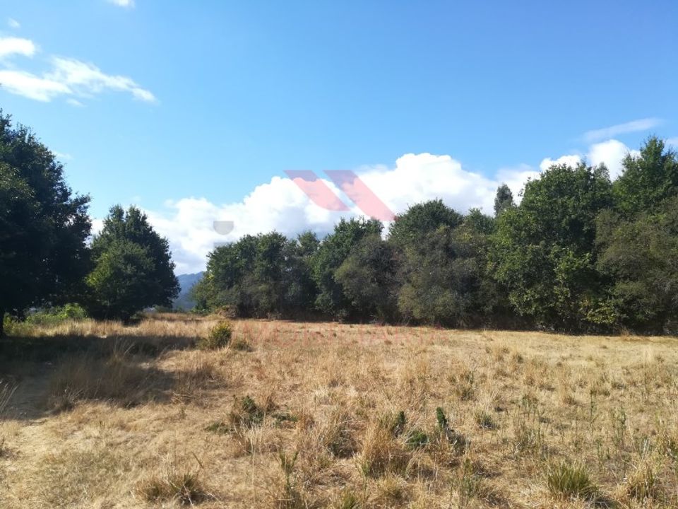 Helårsgrund i Arcos de Valdevez, Viana do Castelo - foto 5