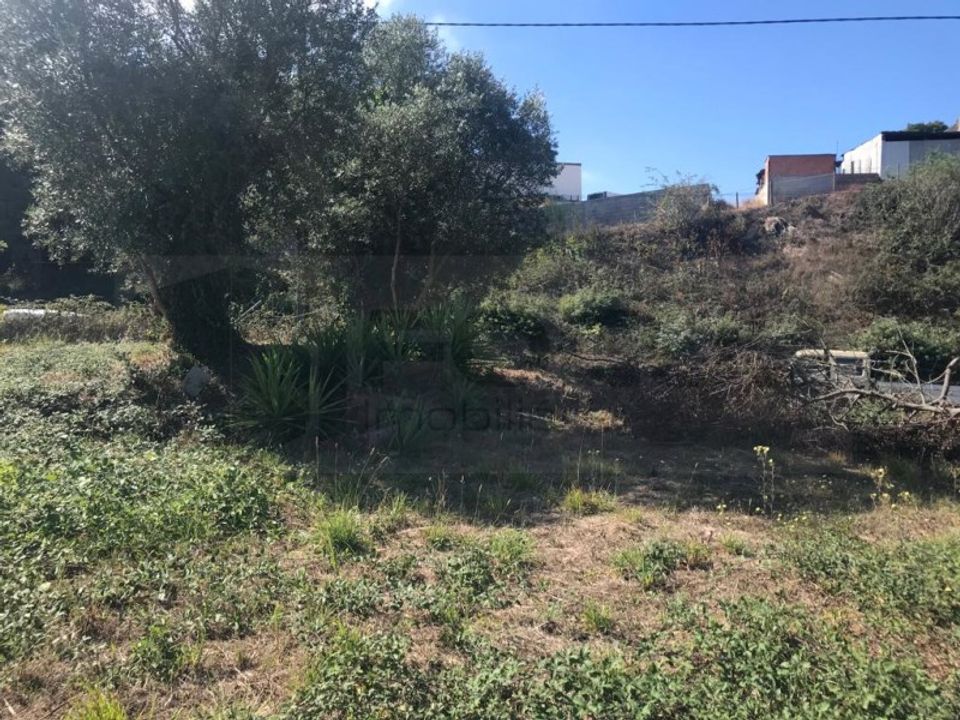 Helårsgrund i Angeja, Aveiro - foto 1