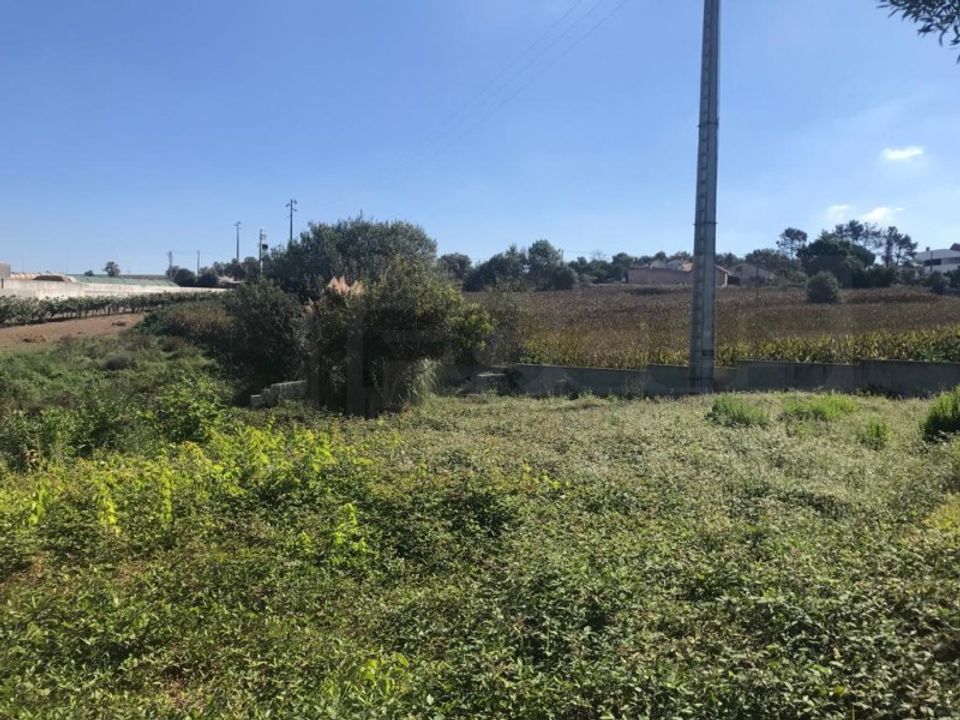 Helårsgrund i Angeja, Aveiro - foto 2