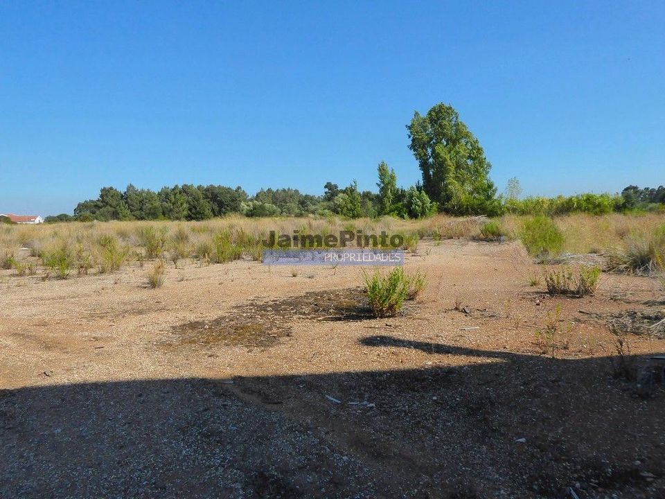 Erhvervsejendom i Cartaxo, Santarem - foto 2