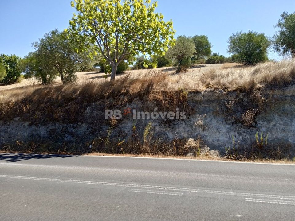 Helårsgrund i Torres Novas, Santarem - foto 2