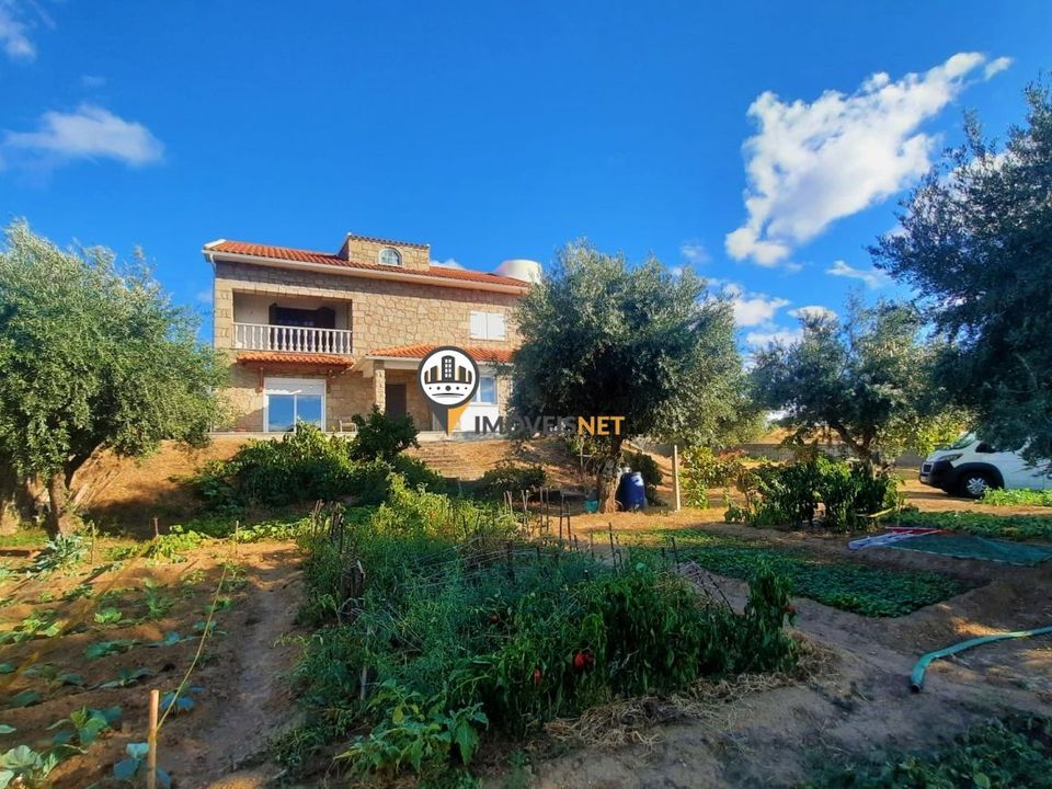 Villa i Castelo Branco, Castelo Branco - foto 3