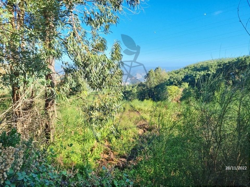 Ruinere i Monchique, Faro - foto 3