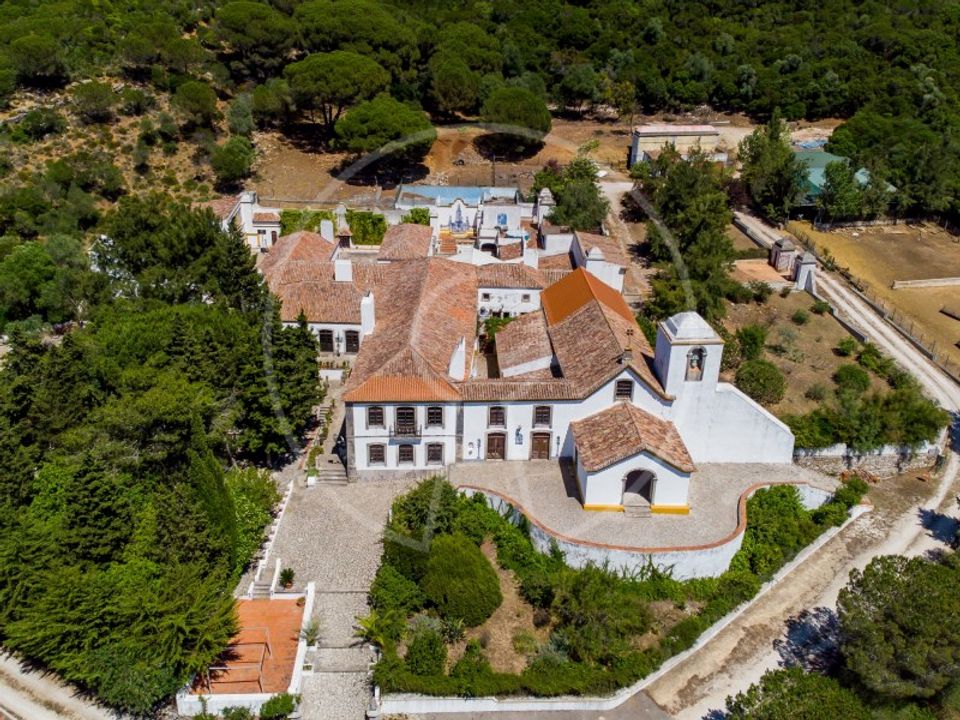 Farm i Brejos de Azeitao, Setubal - foto 2