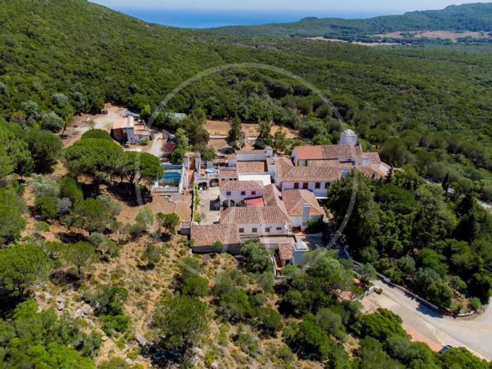 Farm i Brejos de Azeitao, Setubal - foto 3