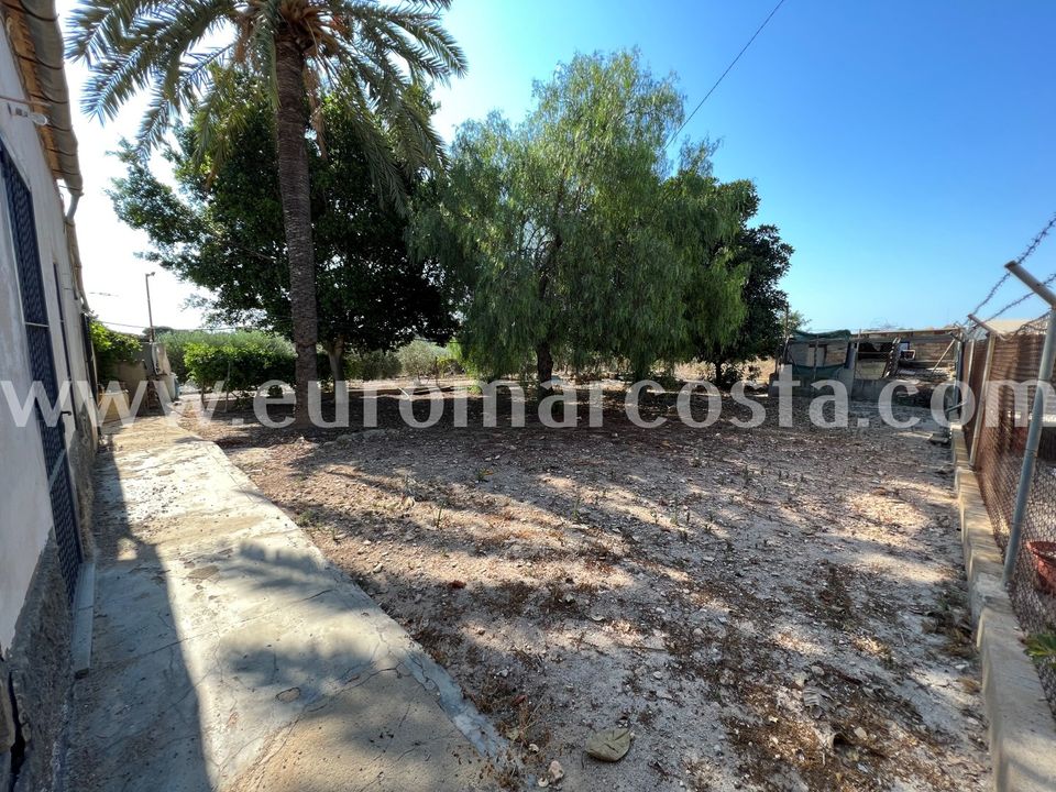 Landejendom i Elche, Alicante - foto 3