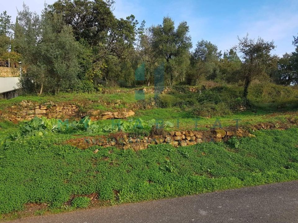 Tomt i Assafarge e Antanhol, Coimbra - bilde 2