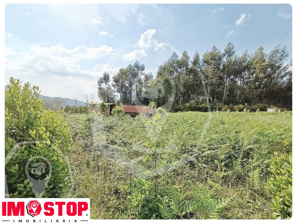 Terra a Vouzela, Viseu - foto 1
